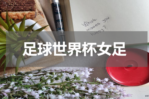 足球世界杯女足