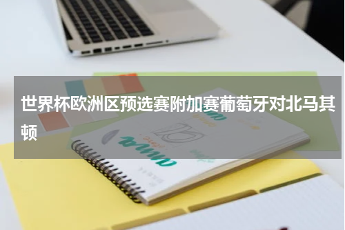 世界杯欧洲区预选赛附加赛葡萄牙对北马其顿