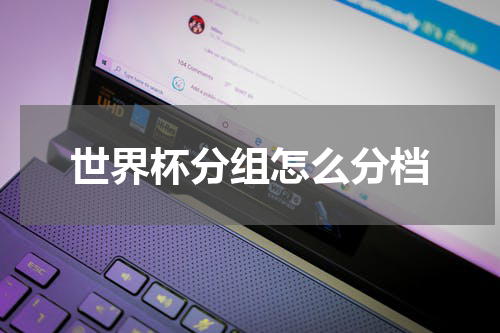 世界杯分组怎么分档