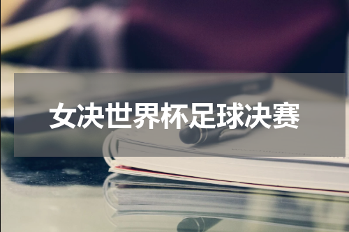 女决世界杯足球决赛