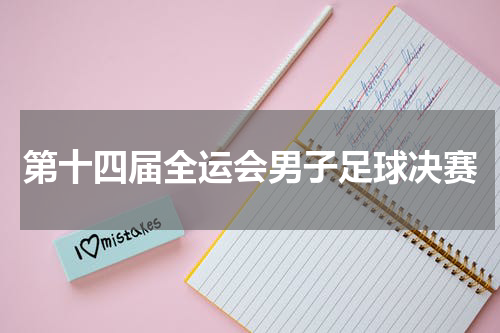 第十四届全运会男子足球决赛