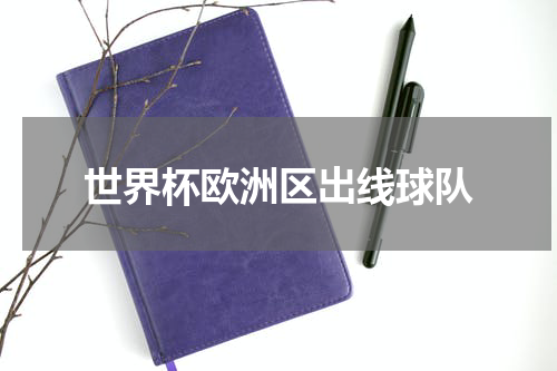 世界杯欧洲区出线球队