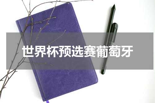 世界杯预选赛葡萄牙