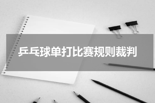 乒乓球单打比赛规则裁判