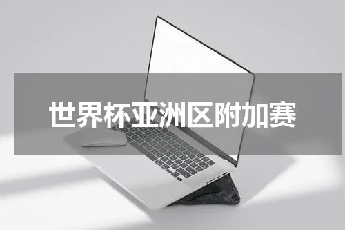 世界杯亚洲区附加赛