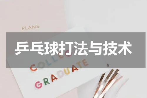 乒乓球打法与技术