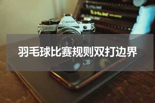 羽毛球比赛规则双打边界