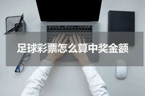 足球彩票怎么算中奖金额