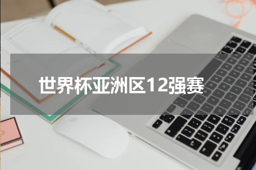 世界杯亚洲区12强赛
