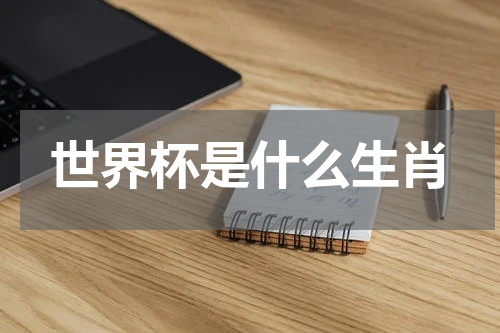 世界杯是什么生肖