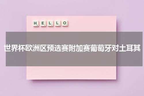 世界杯欧洲区预选赛附加赛葡萄牙对土耳其