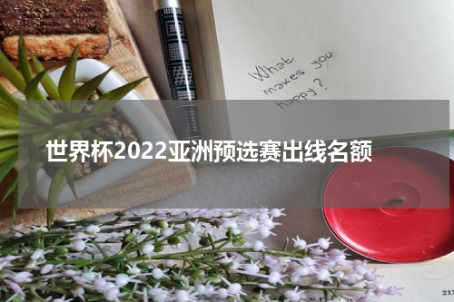世界杯2022亚洲预选赛出线名额