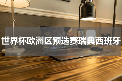 世界杯欧洲区预选赛瑞典西班牙