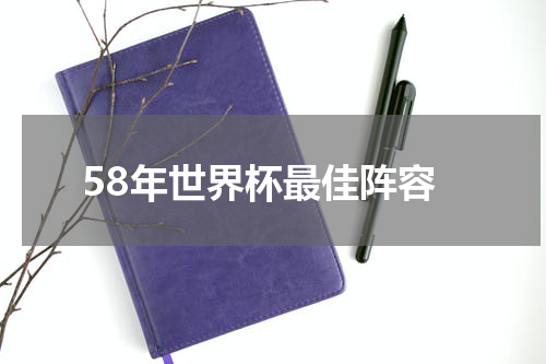 58年世界杯最佳阵容