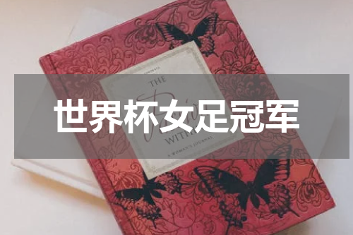 世界杯女足冠军