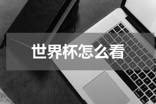 世界杯怎么看