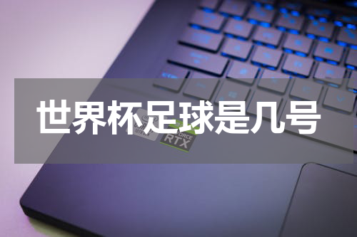 世界杯足球是几号