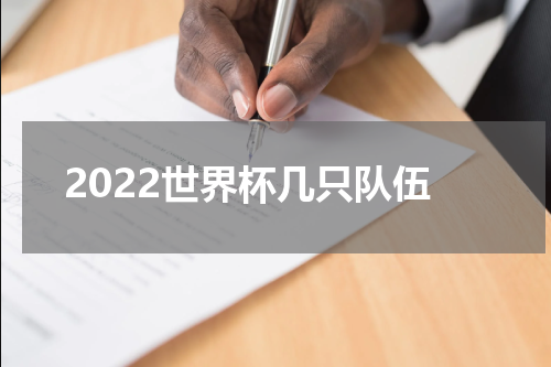 2022世界杯几只队伍