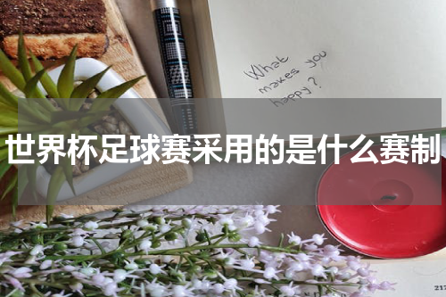 世界杯足球赛采用的是什么赛制
