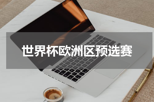 世界杯欧洲区预选赛