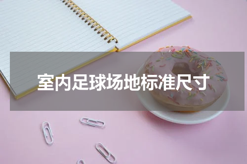 室内足球场地标准尺寸