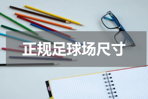 正规足球场尺寸