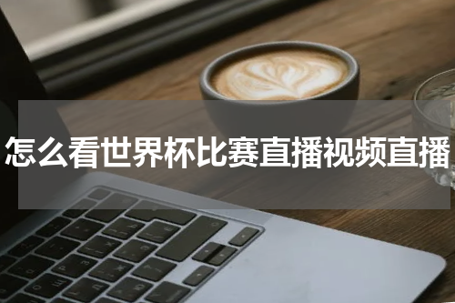 怎么看世界杯比赛直播视频直播
