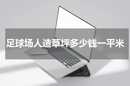 足球场人造草坪多少钱一平米