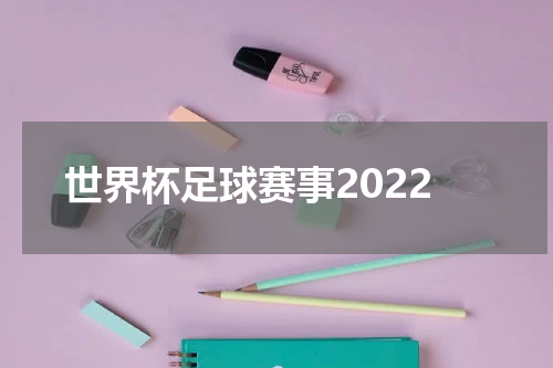 世界杯足球赛事2022