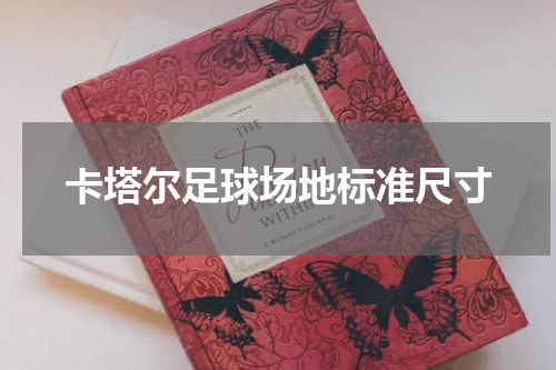 卡塔尔足球场地标准尺寸