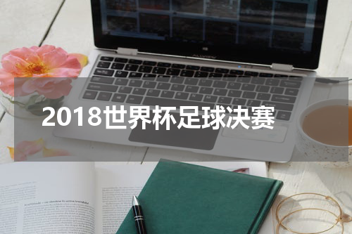 2018世界杯足球决赛