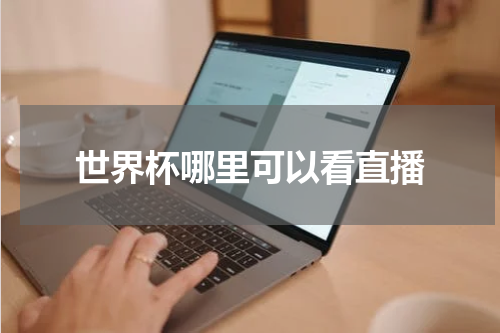 世界杯哪里可以看直播