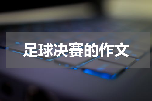 足球决赛的作文