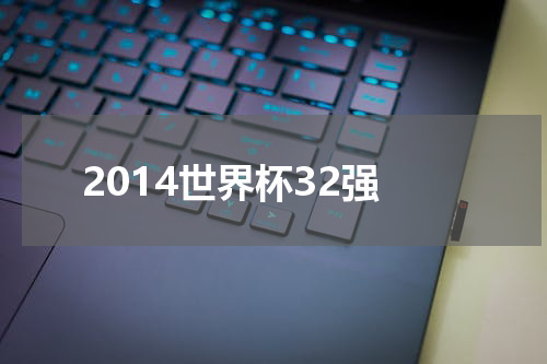2014世界杯32强