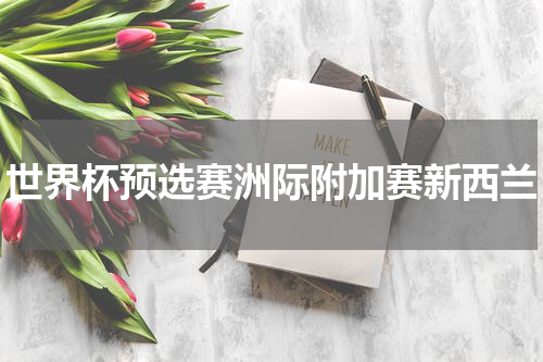 世界杯预选赛洲际附加赛新西兰