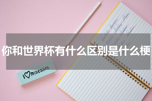 你和世界杯有什么区别是什么梗