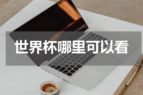 世界杯哪里可以看