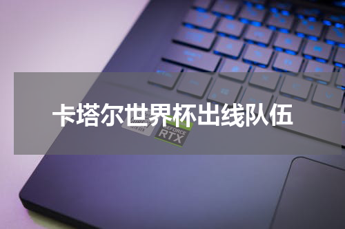 卡塔尔世界杯出线队伍