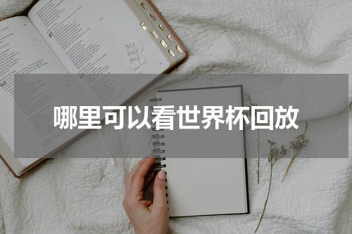 哪里可以看世界杯回放