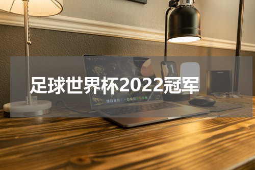 足球世界杯2022冠军
