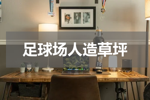 足球场人造草坪