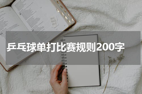 乒乓球单打比赛规则200字