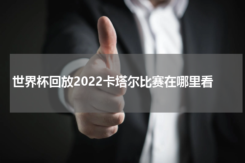 世界杯回放2022卡塔尔比赛在哪里看