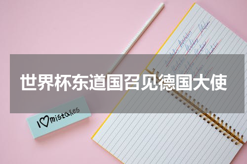 世界杯东道国召见德国大使
