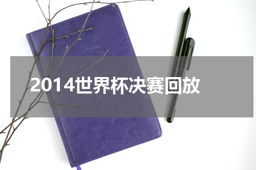 2014世界杯决赛回放