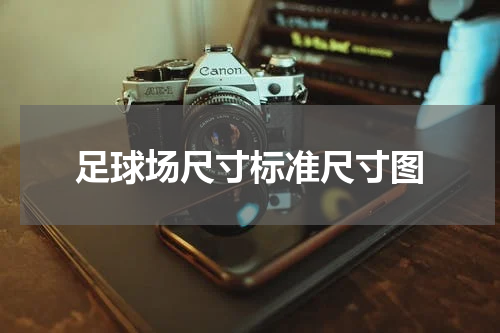 足球场尺寸标准尺寸图