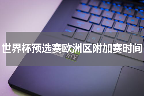 世界杯预选赛欧洲区附加赛时间