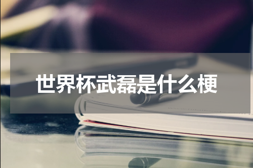世界杯武磊是什么梗