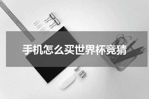 手机怎么买世界杯竞猜