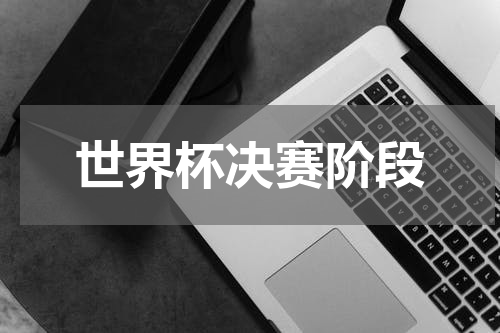 世界杯决赛阶段